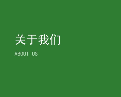 公司简介